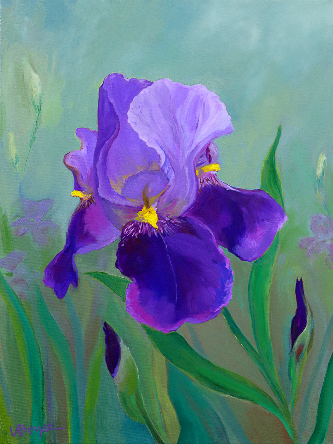 Purple Iris