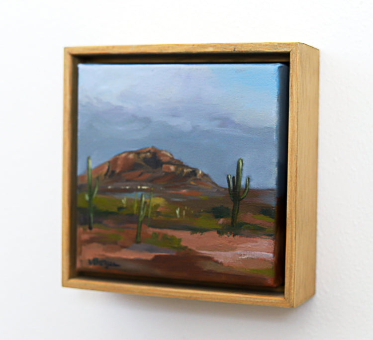 Desert 3
